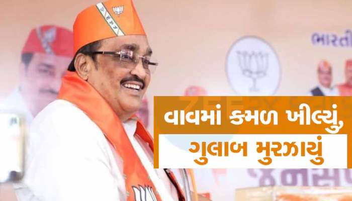વાવમાં કમળ! પાટીલની સેનાએ એવું શું કર્યુ કે માવજી પટેલ સહિત કોંગ્રેસનો ઉતરી ગયો પાવર