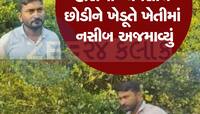ખેતીમાં નવો ચીલો ચાતરીને આ ગુજરાતી ખેડૂતે ચમકાવ્યું પોતાનું નસીબ 
