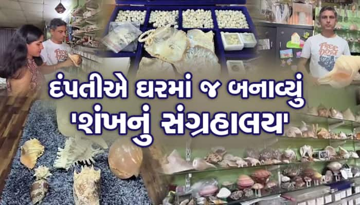 નવસારીના પટેલ દંપતિના ઘરમાં છે હજારો શંખનું સંગ્રહાલય, જાણો શા માટે એકઠા કરે છે શંખ?