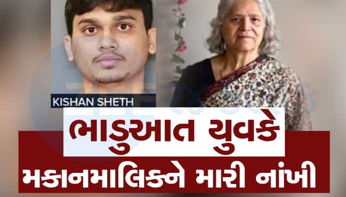 અમેરિકામાં ગુજરાતીએ જ કરી ગુજરાતીની હત્યા, ગાંધીનગરના યુવકે કાર-ડોલરની ચોરી કરી