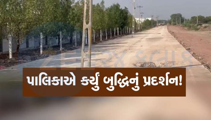રસ્તાઓ વચ્ચે વીજપોલ અને તંત્રએ બનાવી દીધો નવો રોડ, જામનગર પાલિકાએ કર્યું બુદ્ધિનું પ્રદર્શન