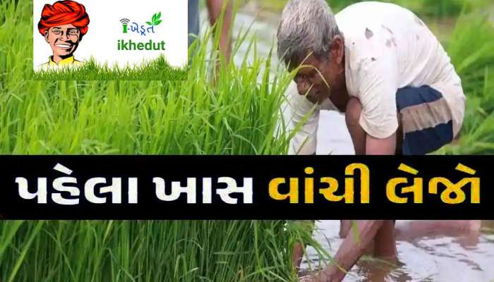 PM કિસાન યોજનાનો હપ્તો મેળવવા બહુ જરૂરી એવા ખેડૂત રજિસ્ટ્રેશન પોર્ટલ અંગે નવા અપડેટ