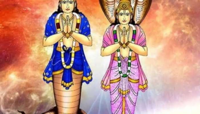 Rahu-Ketu Gochar 2025: વર્ષ 2025 આ 5 રાશિઓને અપાર ધન અપાવશે રાહુ-કેતુ, નવા વર્ષમાં થશે લાભ જ લાભ