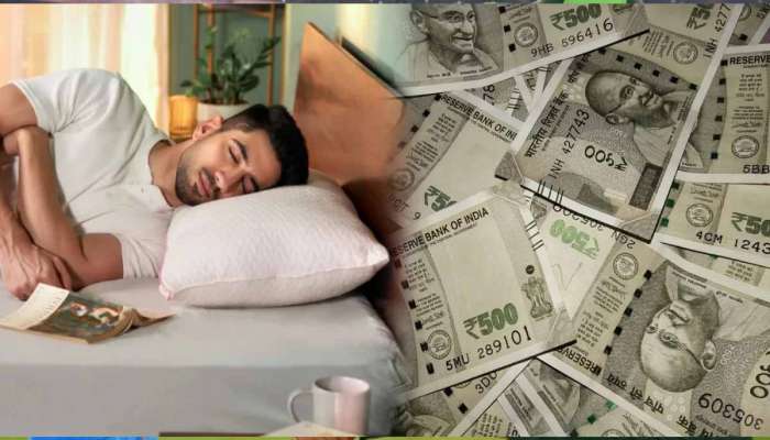 કોઈને કીધા વગર સૂતા સમયે ઓશિકા નીચે રાખો આ 5 ચીજો, ભરાવા લાગશે તમારી તિજોરી!