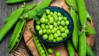 Green Peas: લીલા વટાણા ખાવાથી થઈ શકે છે આ 5 નુકસાન, આ 2 બીમારીમાં તો ખાવા જ નહીં