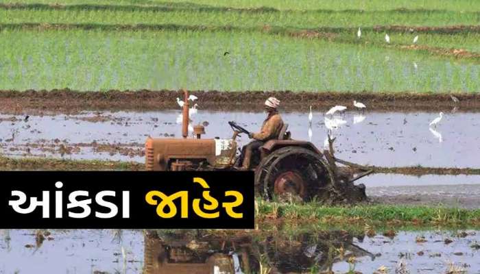 ગુજરાતના ખેડૂતો દર મહિને કેટલી કમાણી કરે છે?દેશના તમામ રાજ્યોના ખેડૂતોની કમાણી જાહેર