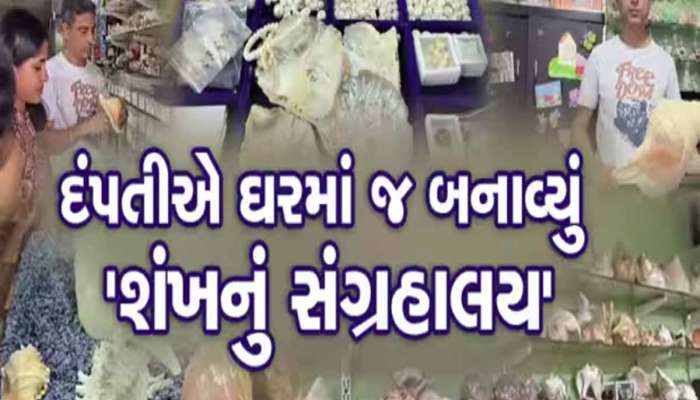 આ પાટીદાર દંપતી શંખના શોખીન! આખા ઘરને સંગ્રહાલયમાં કર્યું પરિવર્તિત, 5500 જેટલા શંખ