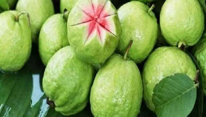 શિયાળામાં રોજ કરો એક જામફળનું સેવન, વજનથી લઈને ડાયાબિટીસનો વળી જશે સત્યનાશ!