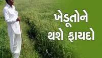 ખેડૂતો માટે મુદ્દાની વાત:આ કામ ફટાફટ પતાવી લેજો, સમગ્ર દેશમા ગુજરાતે બનાવ્યો રેકોર્ડ