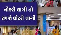 ગ્રેજ્યુએટ ઉમેદવારો માટે મોટા ખુશખબર! SBIમાં નીકળી બંપર ભરતી, જાણો અરજી પ્રક્રિયા