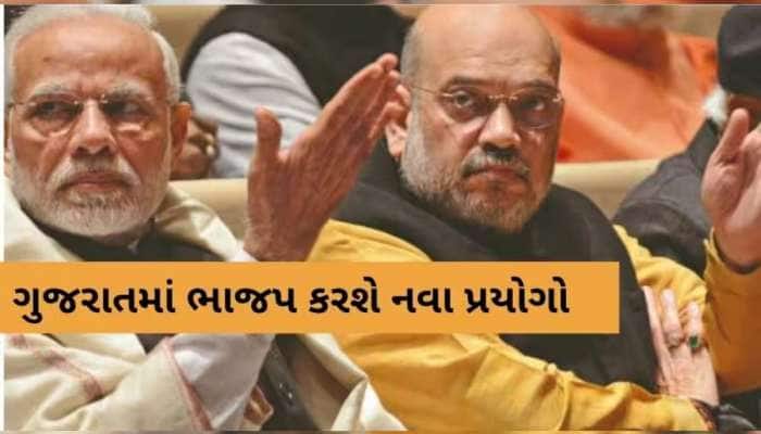 દિલ્હીના ઓર્ડરથી કેમ અટકાવી દેવાઈ ભાજપમાં વોર્ડ અને મંડળ પ્રમુખોની ચૂંટણી પ્રોસેસ?