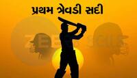 640 બોલ, 10 કલાક બેટિંગ અને 325 રન, બ્રેડમેન નહીં આ ખેલાડીએ ફટકારી પહેલી ત્રેવડી સદી