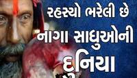 ઠંડીથી બચવા નાગા સાધુ કરે છે આ ત્રણ પ્રકારના કામ, ઘણી રહસ્યમય છે નાગા સાધુઓની દુનિયા