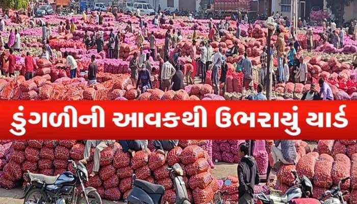 ગોંડલ માર્કેટિંગ યાર્ડ 'ગરીબોની કસ્તુરી'થી ઉભરાયું: હજુ 500થી વધુ વાહનો લાઈનમાં ઉભા!