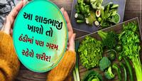 શિયાળામાં શરીરને ગરમ રાખવા માટે આ 5 શાકભાજી છે રામબાણ! બીમારીઓ આસપાસ પણ નહીં ફરકે
