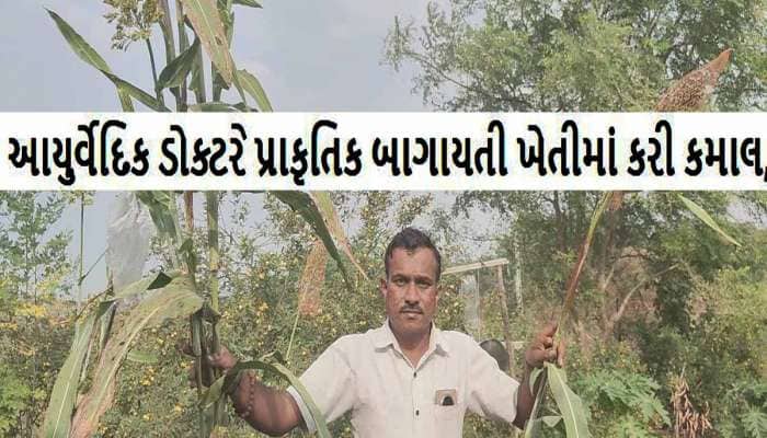 ખેતીમાં દેશી કમાલ! આ ડોક્ટરે અશક્યને શક્ય કરી દેખાડ્યુ! દોઢ લાખે વેચાતી આ કેરી ઉગાડી