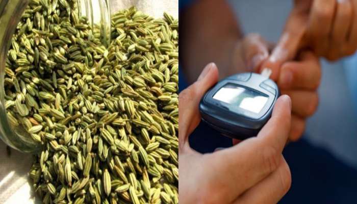 બ્લડ શુગર લેવલ હાઈ રહે છે ? રાત્રે ચાવીને ખાઈ લો આ વસ્તુ, કંટ્રોલમાં રહેશે ડાયાબિટીસ