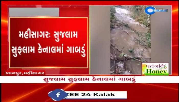 મહીસાગર જિલ્લામાં સુજલામ સુફલામ કેનાલમાં પડ્યું ગાબડું, આસપાસના ખેતરોમાં પાણી ભરાયા 