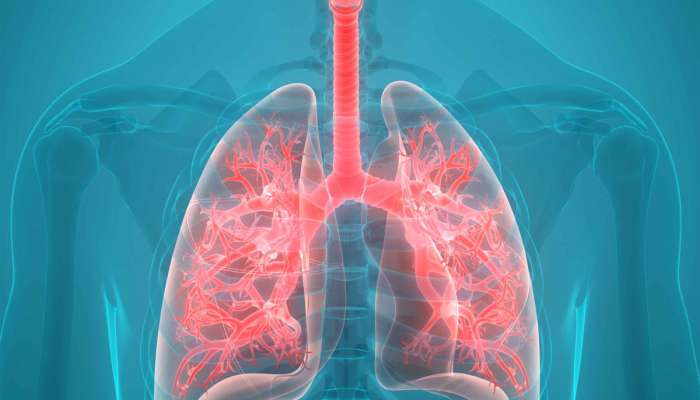 કોલ્ડવેવ ફેફસા પર કરે છે ખરાબ અસર, હાડ ધ્રુજાવતી ઠંડીમાં સેફ રહેવા ફોલો કરો આ ટીપ્સ