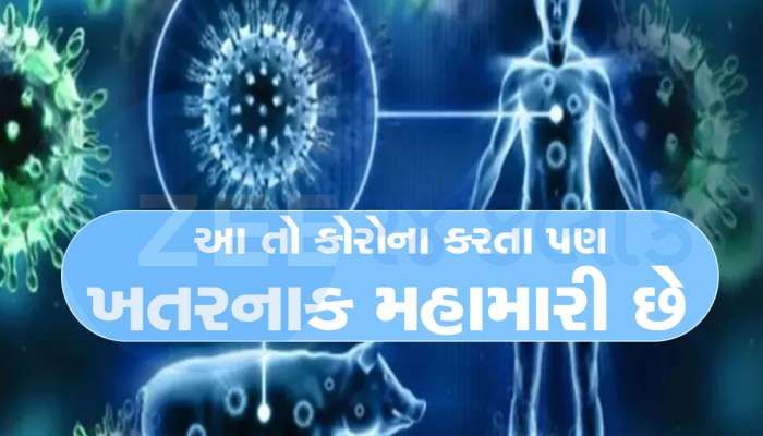 કોરોના કરતા ખતરનાક બીમારી ગુજરાતમાં ફેલાઈ, ટપોટપ થઈ રહ્યાં છે મોત, બે મહિનામાં 22 ના મોત