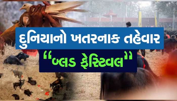 આ દેશમાં દર 5 વર્ષ બાદ વહે છે લોહીની નદીઓ! જાણો શું છે બ્લડ ફેસ્ટિવલ?