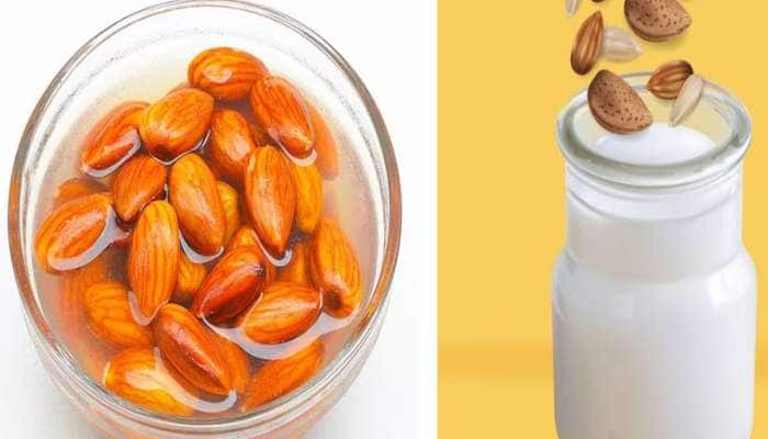 Dry Fruits: પાણી કે દૂધ ? ડ્રાયફ્રુટને કઈ વસ્તુમાં પલાળીને ખાવાથી વધારે ફાયદો થાય ?