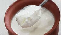 Curd: ઠંડીમાં દહીં ખાવું કે નહીં? જાણો આયુર્વેદ અનુસાર શિયાળામાં દહીં ખાવાથી થતા લાભ