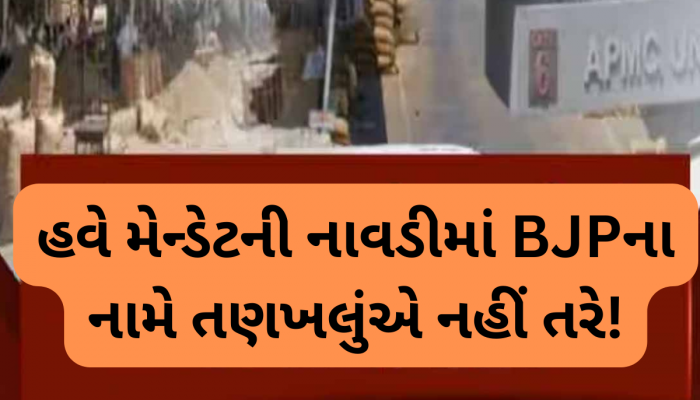 ઊંઝા APMCમાં ભાજપના મેન્ડેટનો કચ્ચરઘાણ નીકળ્યો! આંતરીક જુથવાદ, ખેંચતાણથી ગરમાયું જબજસ્ત રાજકારણ