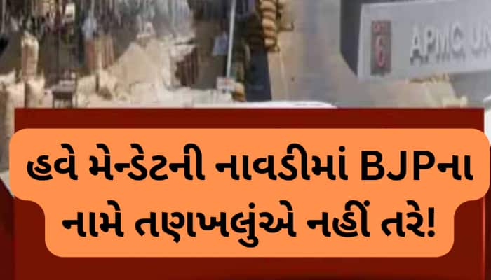 ઊંઝા APMCમાં ભાજપના મેન્ડેટનો કચ્ચરઘાણ નીકળ્યો! ઈફ્ફો પછી ઉંઝામાં પણ ભૂંડી હાર