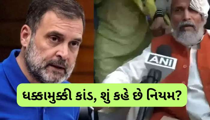 શું ભાજપના સાંસદને ધક્કો મારવા બદલ જેલમાં જઈ શકે રાહુલ ગાંધી? નિયમ શું કહે છે