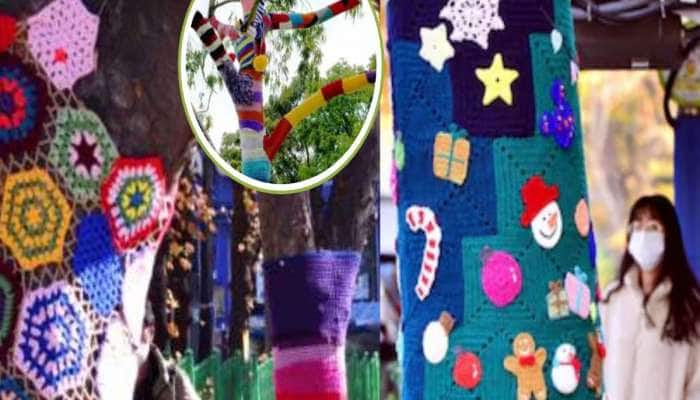 આ દેશના લોકો વૃક્ષો પર સુંદર ગરમ વસ્ત્રો કેમ લપેટી રહ્યા છે? ઈમોશનલ કરી દેશે કારણ