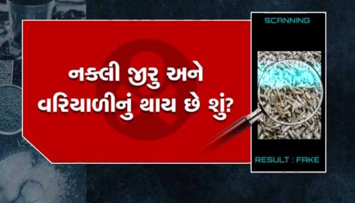 નારાજ થયા નારાણ કાકા! નકલી જીરૂ બનાવતી અનેક ફેક્ટરીઓ ઊંઝાથી ઝડપાઈ, પણ શું કાર્યવાહી થઈ?