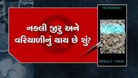 નારાજ થયા નારાણ કાકા! નકલી જીરૂ બનાવતી અનેક ફેક્ટરીઓ ઊંઝાથી ઝડપાઈ, પણ શું કાર્યવાહી?