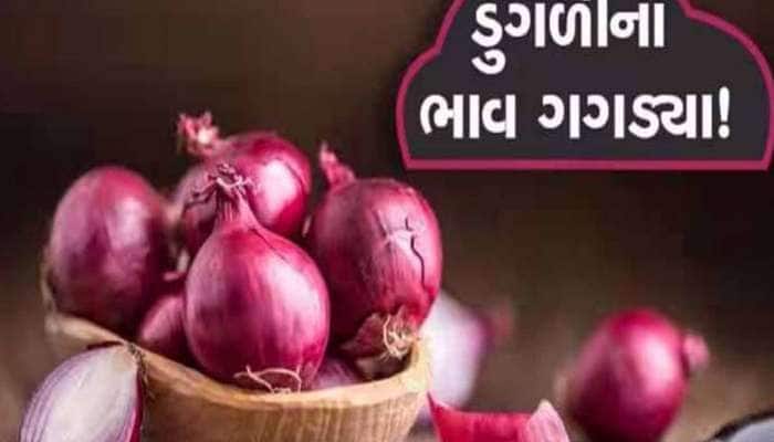 ગરીબોને કસ્તુરીએ ખેડૂતોને બનાવ્યા ગરીબ! ભાવ તળિયે જતાં ખેડૂતો રાતા પાણીએ રોયા