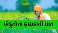 ખાસ ખેડૂતો માટે છે આ 6 સરકારી યોજનાઓ, શું તમે તેના વિશે જાણો છો? ફટાફટ જાણો વિગતો