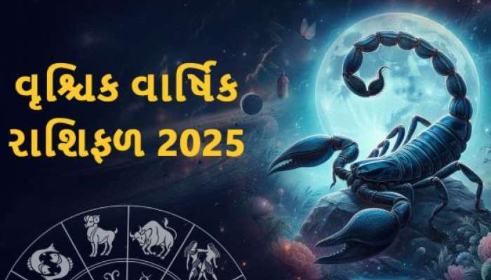  Vrashchik Rashifal 2025: વ્યવસાયમાં થશે પ્રગતિ, કારકિર્દીના ક્ષેત્રમાં ખૂલશે ઉન્નતિના દ્વાર; વૃશ્ચિક રાશિવાળા માટે આવું રહેશે નવું વર્ષ