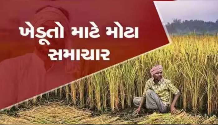 ગુજરાતના ખેડૂતો માટે મોટી ખુશખબર, 2025 ના આ મહિનાથી ખેતરમાં દિવસે પણ વીજળી મળશે 