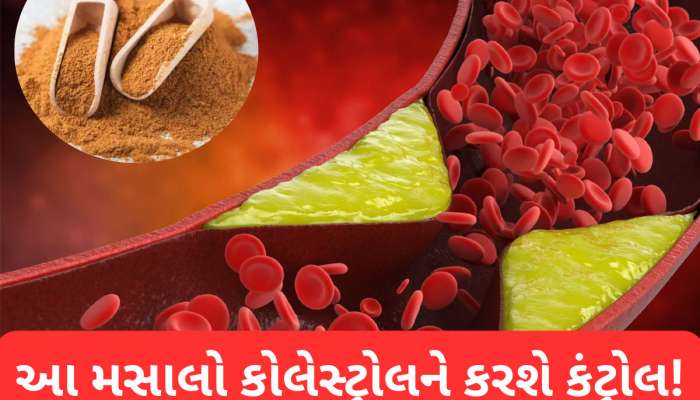 ધમનીઓમાં જામેલા ગંદા કોલેસ્ટ્રોલને કાઢવામાં સક્ષમ છે આ વસ્તુ, અઠવાડિયામાં ફરક દેખાવા લાગે છે!