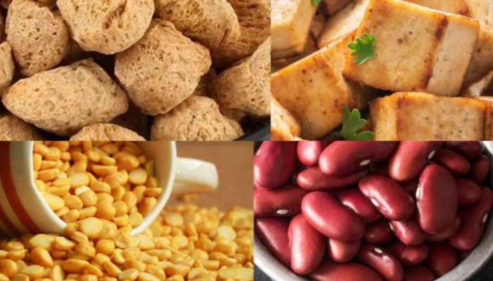 Protein Food: આ 5 શાકાહારી ખોરાકમાં હોય છે ભરપૂર પ્રોટીન, આજે જ ડાયટમાં કરો સામેલ