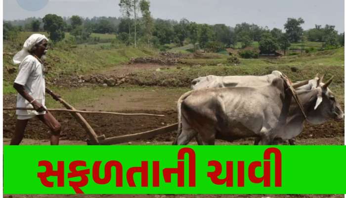 Success Story: ખેડૂતનું ગજબ ભેજું, પથરાળ જમીનથી કરે છે કરોડોની કમાણી, જાણો કેવી રીતે