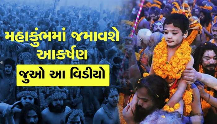 પ્રયાગરાજમાં યોજાનારા મહાકુંભમાં અનોખું આકર્ષણ, આ જોઇને તમે પણ કહેશો વાહ!