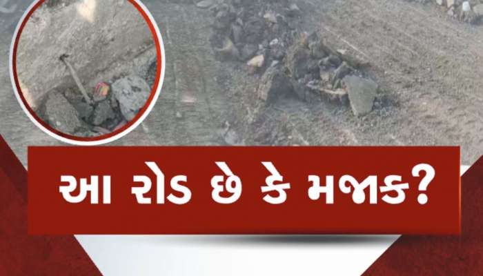 નેશનલ હાઈવેની આવી દશા કેમ? 4 વર્ષમાં બ્રિજ બની ગયો જર્જરિત, ભ્રષ્ટાચારનો આરોપ