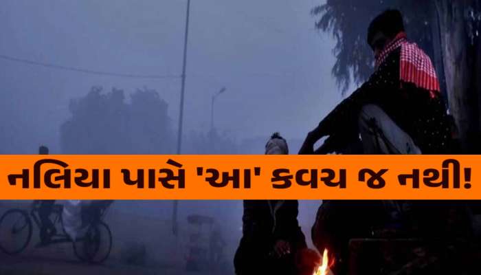 શું તમે જાણો છો? ગુજરાતના નલિયામાં કેમ પડે છે સૌથી વધારે ઠંડી, આ છે મોટું કારણ