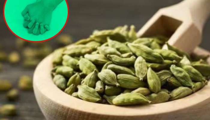 Elaichi Benefits: રાત્રે સુતા પહેલા ખાઈ લો માત્ર બે ઈલાયચી, અસર જોઈને રહી જશો દંગ!
