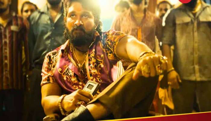 22 દિવસ પછી પુષ્પા 2 ફિલ્મમાંથી આ સોન્ગ ડિલીટ! વિવાદોમાં ખરાબ રીતે ફસાઈ ફિલ્મ, જાણો