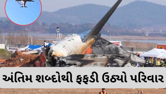 Korea Plane Crash :  પ્લેન ક્રેશ થયું તે પહેલા મુસાફરે પરિવારને મોકલ્યો એવો મેસેજ...વાંચીને હોશ ઉડી ગયા, શું આ હતું દુર્ઘટનાનું કારણ?
