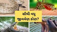માસણો માટે ચાલતું-ફરતું મૃત્યુ છે આ જાનવર, આંખના પલકારે કરી નાખે છે તમારું કામ તમામ