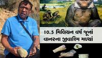 કચ્છની ધરતી પર વધુ એક અદભૂત શોધ! પેટાળમાં દટાયેલો કરોડો વર્ષ જૂનો વાનર મળ્યો 