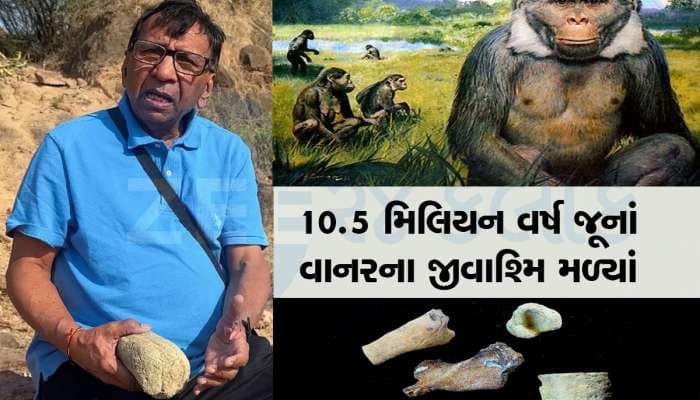 કચ્છની ધરતી પર વધુ એક અદભૂત શોધ! પેટાળમાં દટાયેલો કરોડો વર્ષ જૂનો વાનર મળ્યો 