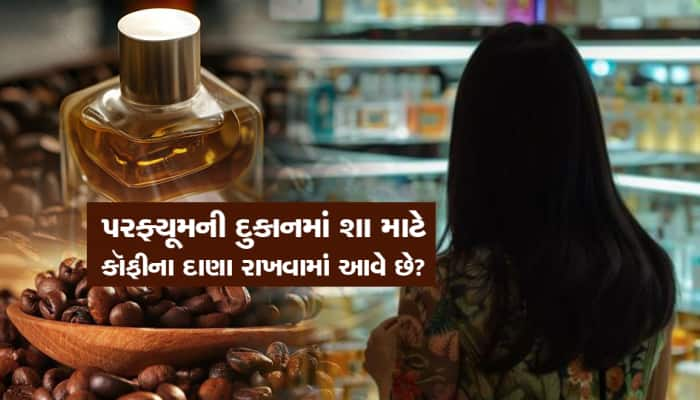 પરફ્યૂમની દુકાનમાં શા માટે રાખવામાં આવે છે કૉફીના દાણા?, જવાબ શોધવામાં...